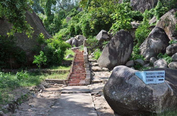 Saanane National Park 2