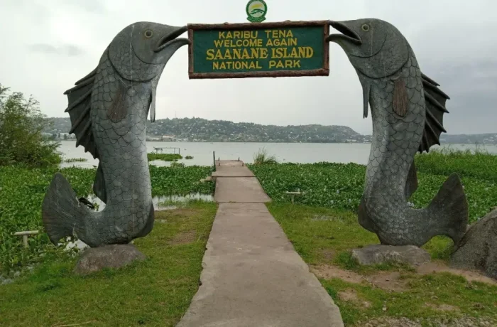 Saanane National Park 3