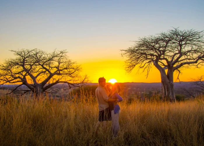 Tanzania Romantic Safari