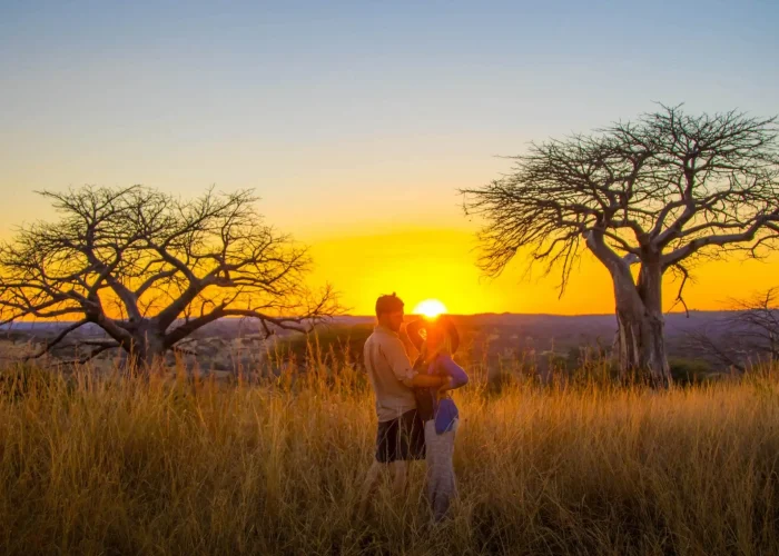 Tanzania-Romantic-Safari1