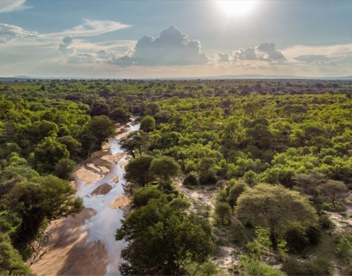ruaha np3